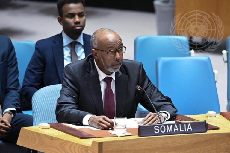 Ambassador Abukar Dahir Osman (Baale)